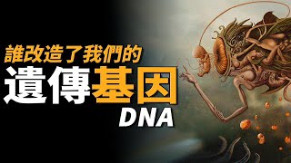 人類的基因中98%都是垃圾？染色體丟失，改造DNA的幕後黑手是外星人？【客官請就坐】