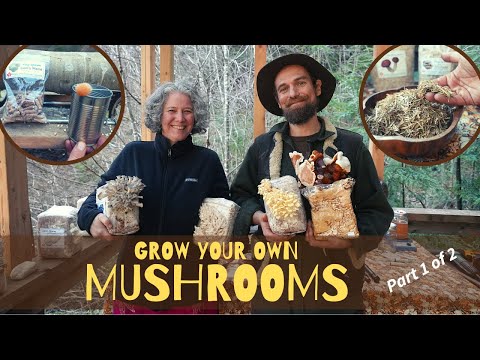 Grow Your Own Mushrooms -  Part 1 of 2