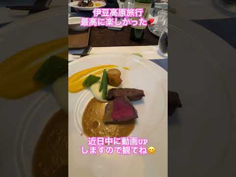 突然決まった伊豆高原旅行　とっても楽しかった❣️近日中に動画UPするので観てね😊#フレンチブルドッグ #フレブル多頭飼い #フレブルのいる暮らし #伊豆旅行