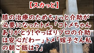 【スカっと】膝の治療のためちょっと介助が必要になったトメ。「コトメちゃんありがとう！やっぱりプロの介助は安心だわー」トメ「嫁子さん私の朝ご飯は？」【痛快・スカッとジャパン】