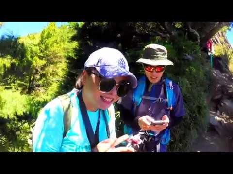 我的復健之旅 合歡北峰糜爛行 (2018.07.30)