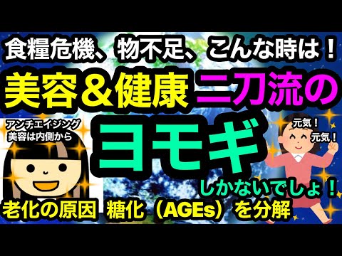 【食糧危機・物不足】そんな時は『健康＆美容』二刀流！！のヨモギしかないでしょ！糖化（AGEs）の予防と分解。抗酸化作用も凄い！健康と美容の為に備蓄品の一品にぜびヨモギを！