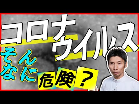 【コロナウイルス】押さえておきたいコロナウイルスの知識【コロナウイルス/武漢/】