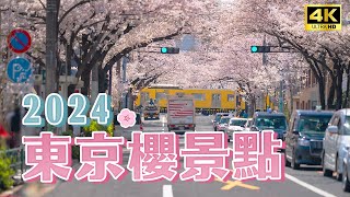 【2024東京櫻花】經典賞櫻景點3選🌸目黑川修剪後還美嗎？東京櫻花花況分享！中野通、新井藥師、澀谷櫻坂｜日本旅遊・Japan 4K Vlog