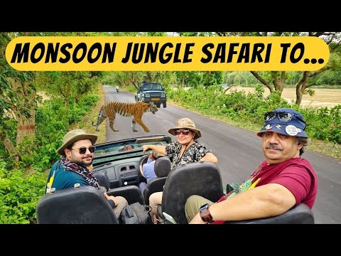 Chalo Monsoon Jungle Safari par is Tiger Reserve mein