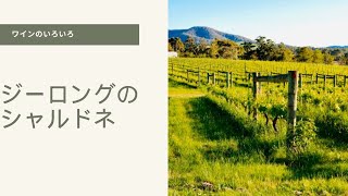 ジーロングのシャルドネ #wine #ワイン豆知識 #ワイン #ワインのある暮らし #雑学 #白ワイン