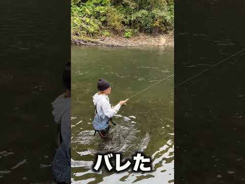 【渓流釣り】北海道の渓流で超巨大トラウトがまさかの？！？！#shorts