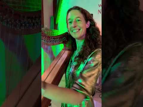 Trad. Irish reel „The Sally Gardens“ on Celtic Harp #shorts