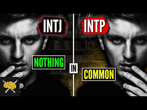 [Top] 9 HUGE Differences Between INTJ and INTP | INTJ vs INTP