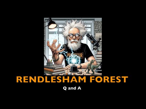 Rendlesham Forest Q and A - Prof Simon