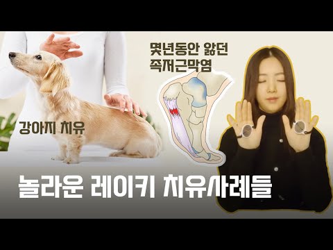 유튜브 영상으로 치유가 됐다고요? 학생들이 직접 경험한 치유 사례들