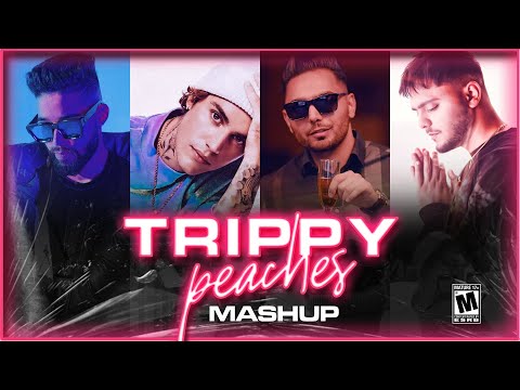 Trippy Peach | AP Dhillon 2021 Mashup ft. Justin & Prem Dhillon - DJ HARSH SHARMA X SUNIX THAKOR