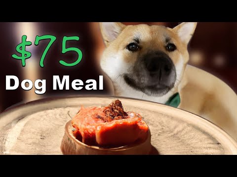 I Took My Dog Fine Dining