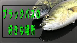 ブラックバスの生態と習性を理解してヒット率をあげよう【バス釣り】【初心者】