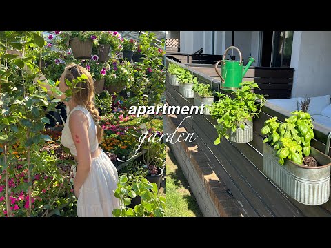 my apartment herb garden