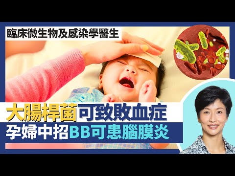 大腸桿菌（下）｜感染可致膽管炎膽囊炎引發敗血症！孕婦感染可致新生兒患腦膜炎！感染大腸桿菌亂止瀉亂可能更傷身？｜臨床微生物及感染學醫生王建芳醫生｜人類健康研究所