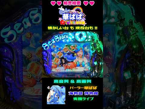 ✨確変突入✨🏴‍☠️バミューダチャンス🏴‍☠️👀ミドルでしか観られない👀🎵懐かしのBGM🎵💙今日も💙相思相愛💙vol.194【 パーラー華ぱぱ・海物語 博物館 】ショート動画 #shorts