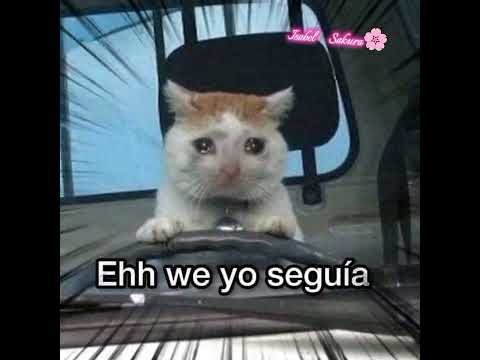 Michis al volante xD