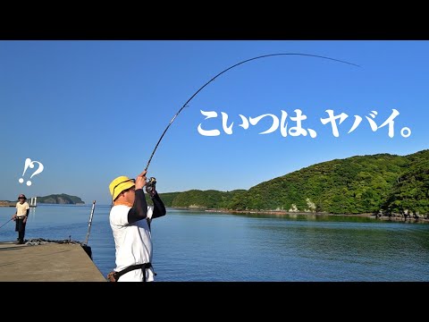 いとも簡単に起きる奇跡みたいな釣果。発表されたばかりのリールを試しに島に渡ったら…非日常の連続だった件。[24ルビアスで10魚種チャレンジ]