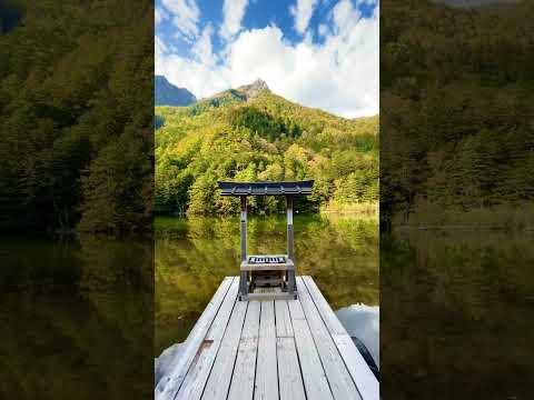 ⛩Secret shrine in a forest. Visit japan before it's too famous 🇯🇵 #beautifulnature #japan