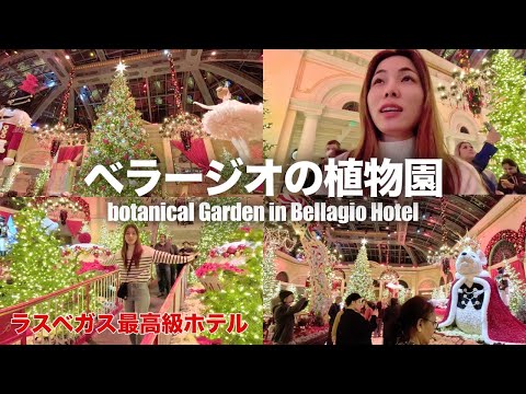 【ラスベガス🇺🇸】美しすぎる！全部が花で作られてるベラージオホテルの植物園を散歩する😌🌿🎄One day Diary Vlog｜Bellagio hotel Las Vegas.