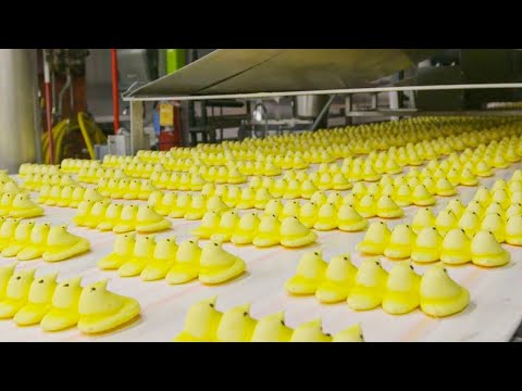 How Marshmallows Are Made | How It's Made Marshmallow Peeps | Food Factory