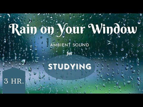 Rain on Your Window: The Perfect Ambient Sound for Studying and Focus