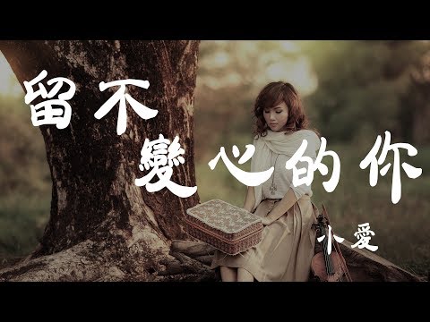 留不住變心的你 - 小愛 - 『超高无损音質』【動態歌詞Lyrics】