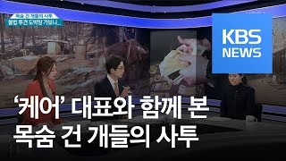 목숨 건 개들의 사투…불법 투견 도박장 가보니 / KBS뉴스(News)