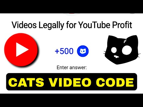 Videos Legally For YouTube Profit Cats YouTube Video Code | Cats YouTube Video Code Today 29 October