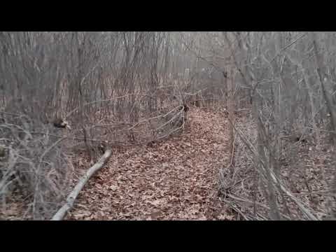 First ride on Lower Elder Trail!