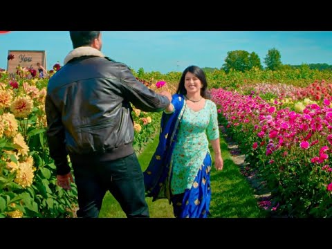 Special Rose 🌹 Days Whatsapp Status 7-Feb Rose Day Status Rose Day Status Rose Day Romantic Status