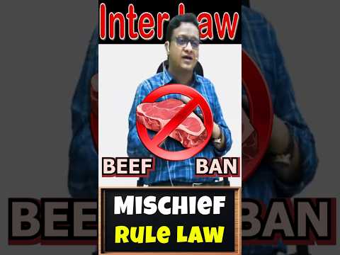 Mischief Rule in Law | CA Siddharth Agarwal