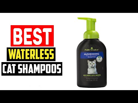 ✅Top 5 Best Waterless Cat Shampoos of 2024