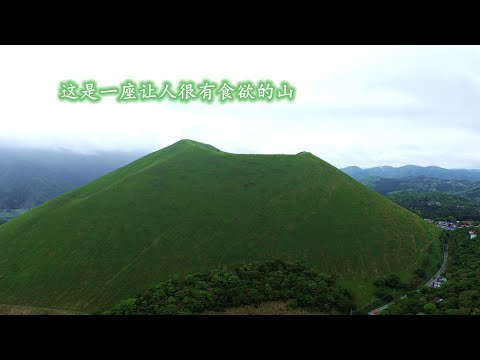 抓住春天的尾巴，去伊豆半島看抹茶蛋糕壹樣的大室山