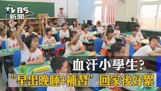 【TVBS】血汗小學生? 「早出晚睡+補習」 回家後好累