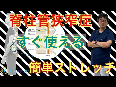 脊柱管狭窄症【すぐ使える】簡単健康ストレッチ〜本気だから個別対応【整体院オネスティ】神奈川県大和市