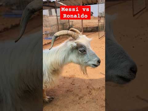 The Unexpected Ronaldo Appearance! #Messi #GOAT