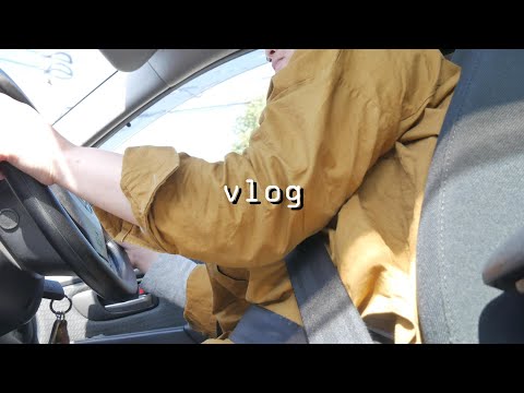 vlog｜私の休日｜買い物に行く日｜家事はいつも通りに