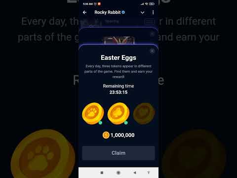 Rocky Rabbit Easter Egg 10 September | Rocky Rabbit Easter Egg Daily combo  | Today Easter egg