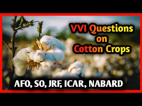 Most important question of Cotton Crop for JRF, NABARD, AFO, JEE, ICAR, BHU// #question #ecohillagri