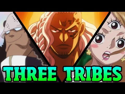 Three Tribes That Hold The Key To One Piece!!