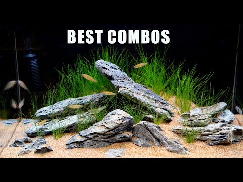 3 AQUASCAPE Combos That Always Work And WHY!