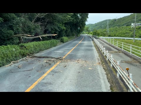 倒木のため通行注意‼️本郷インター乗り口手前