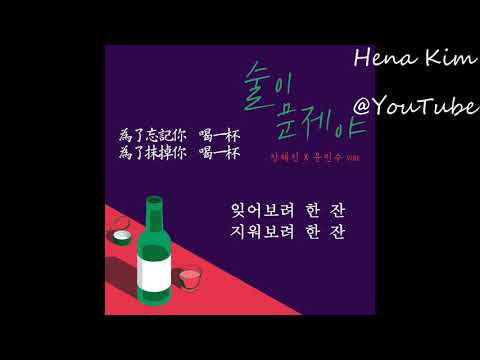 [中韓字] 張惠珍 (장혜진) & 尹敏洙 (윤민수) - 都是酒的錯啊 (술이 문제야) (Drunk on Love)