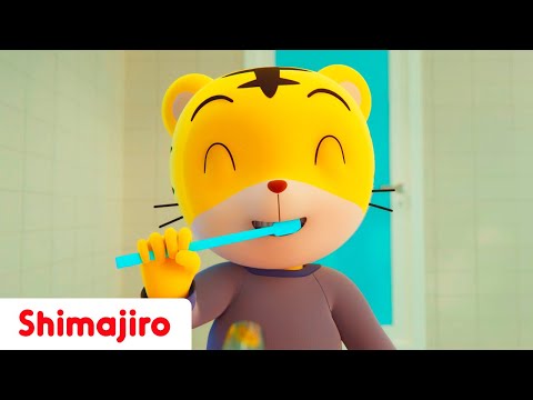 Brushing teeth! 🦷😁| Healthy habits with Shimajiro | Kids songs & Nursery Rhymes