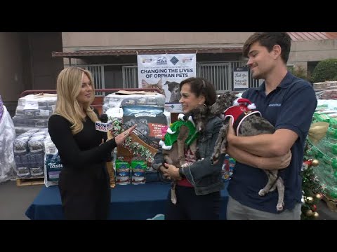 Helen Woodward Animal Center Home 4 the Holidays Campaign kicks off with Blue Buffalo donation