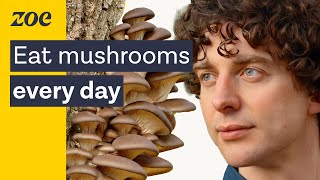 Mushroom expert: uncovering the health secrets of fungi | Merlin Sheldrake & Prof. Tim Spector