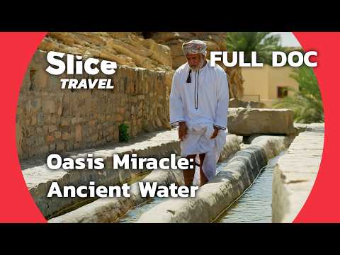 Al-Ayn Oasis: Ancient Water Engineering and Modern Challenges | SLICE TRAVEL | FULL DOC