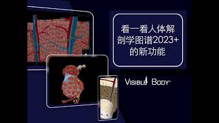 人体解剖学图谱2023 + | 完整的3D参考！